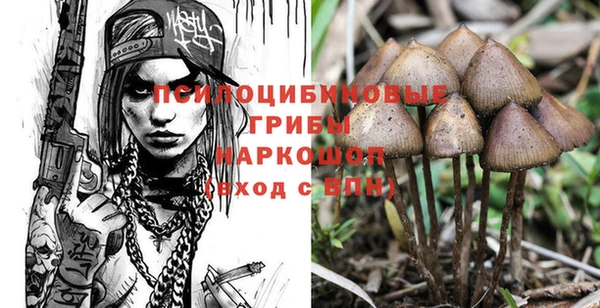 ГАЛЛЮЦИНОГЕННЫЕ ГРИБЫ Алексин