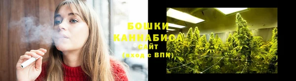ГАЛЛЮЦИНОГЕННЫЕ ГРИБЫ Алексин