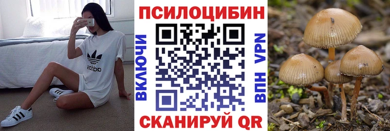 магазин    omg tor  Псилоцибиновые грибы прущие грибы  Андреаполь 